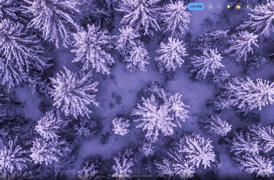 ビューアで写真を1枚だけ大きく表示しているところ
